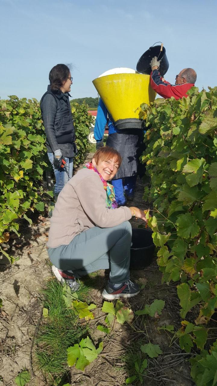 Moulin De Bacchus - Chateaux De La Loire Chançay Eksteriør bilde